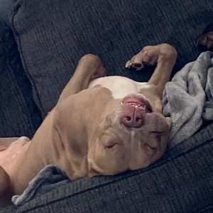 Meet your Posher, Lee